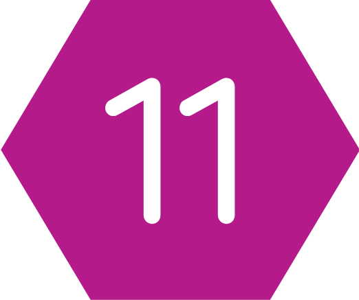 Cel 11