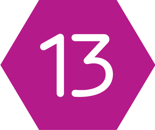 Cel 13