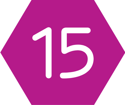 Cel 15