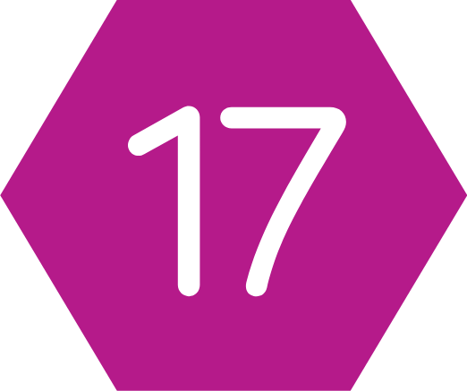 Cel 17