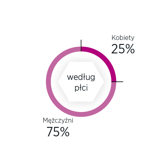 Komitet Wykonawczy według płci infografika